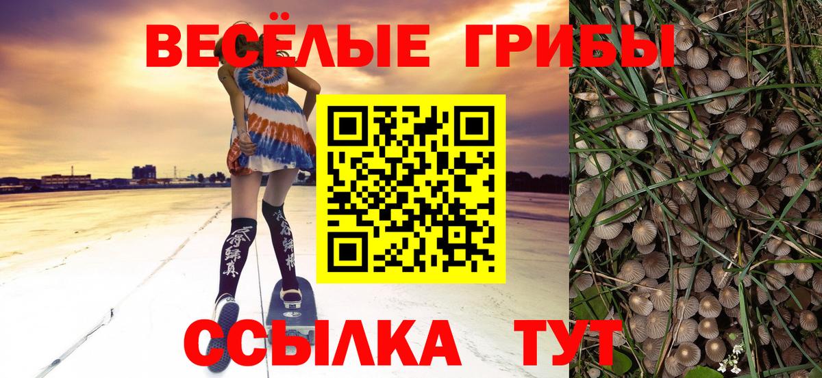 Альметьевск  Псилоцибиновые грибы прущие грибы  Псилоцибиновые грибы Cubensis  купить наркоту  Вход с VPN 