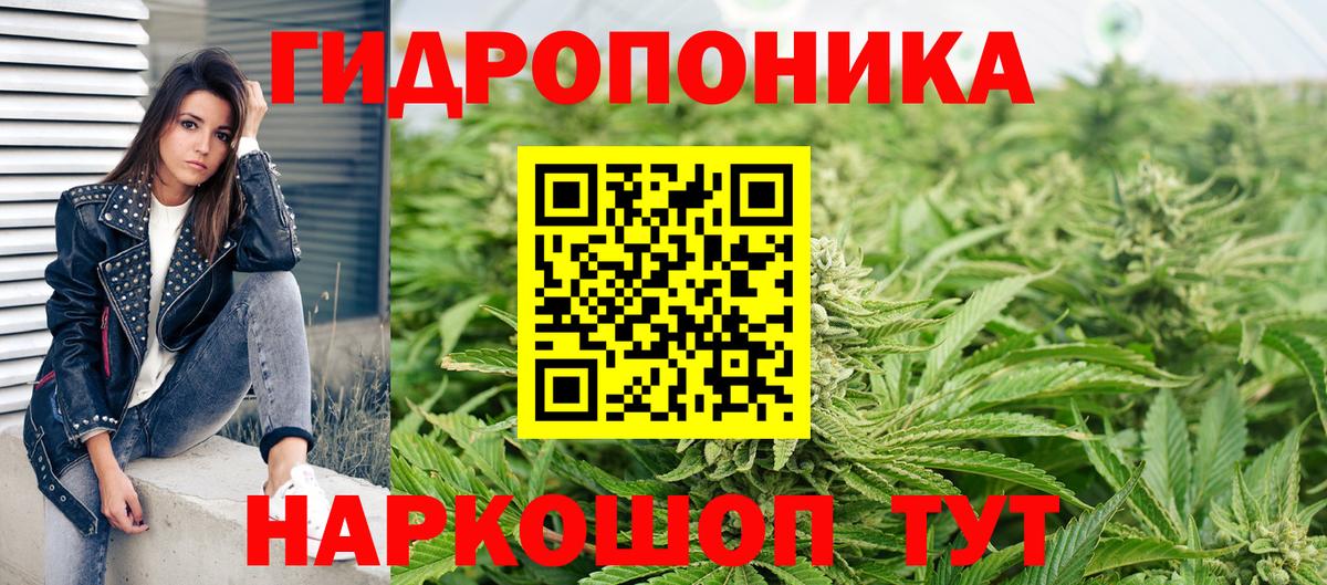 Каннабис планчик  Конопля SATIVA & INDICA  МАРИХУАНА LSD WEED  Вход с VPN  Альметьевск 